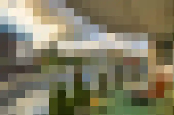 Vondelstaete 533 Alkmaar thumbnail 4
