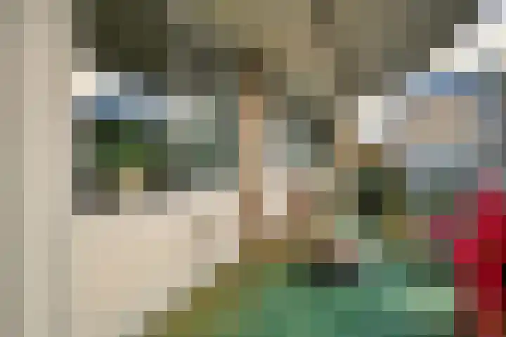 Vondelstaete 533 Alkmaar thumbnail 5