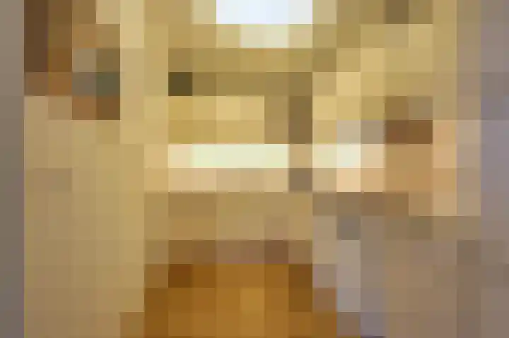 Vondelstaete 533 Alkmaar thumbnail 8