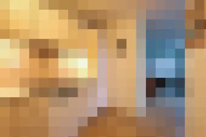 Vondelstaete 533 Alkmaar thumbnail 9