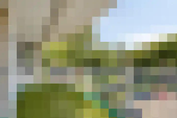 Vondelstaete 536 Alkmaar thumbnail 18