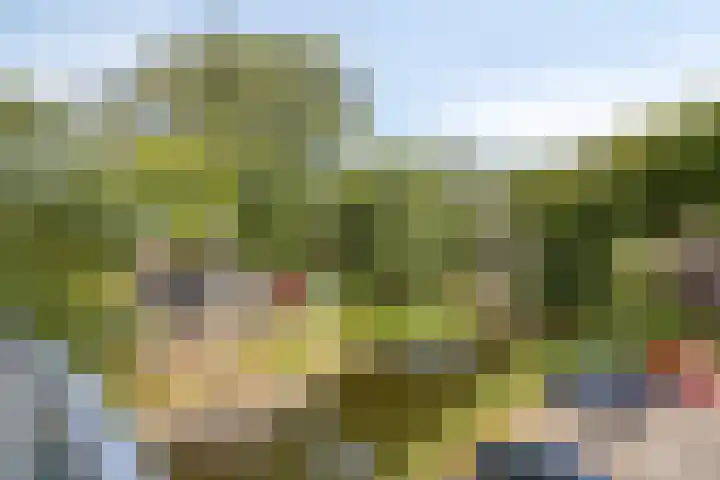 Vondelstaete 536 Alkmaar thumbnail 19