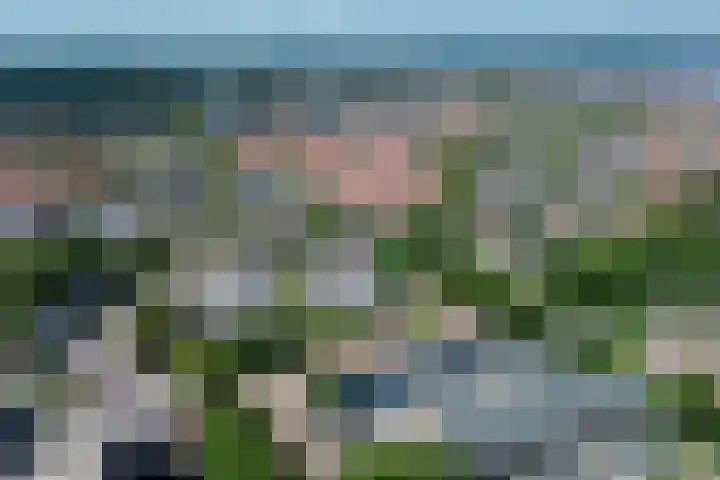 Vondelstaete 536 Alkmaar thumbnail 31