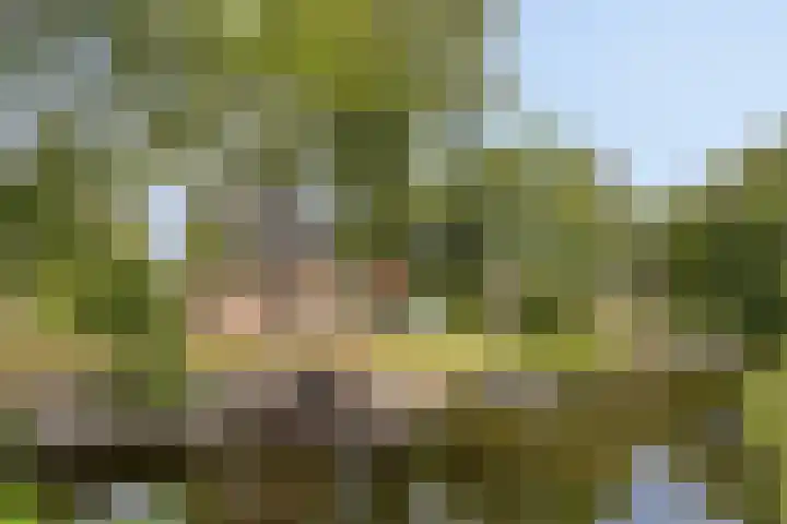 Vondelstaete 536 Alkmaar thumbnail 32
