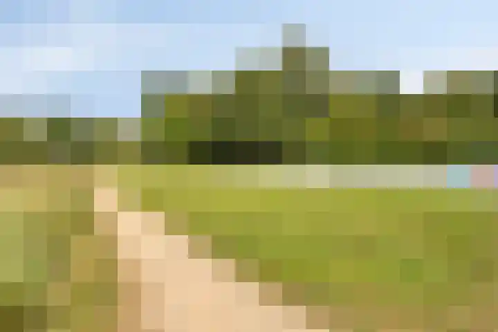 Vondelstaete 536 Alkmaar thumbnail 33