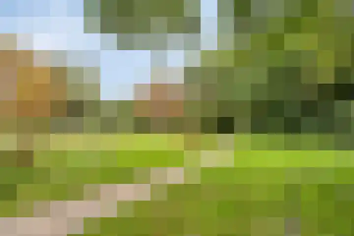 Vondelstaete 536 Alkmaar thumbnail 34