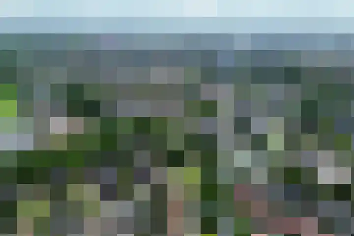 Vondelstaete 536 Alkmaar thumbnail 35
