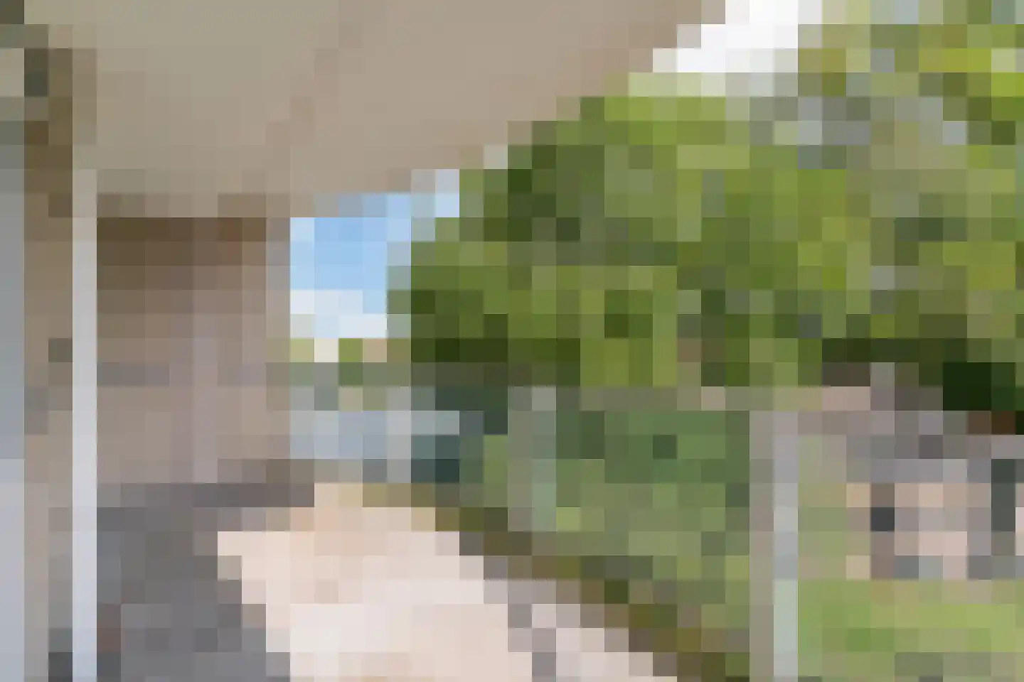 Vondelstaete 537 Alkmaar thumbnail 21