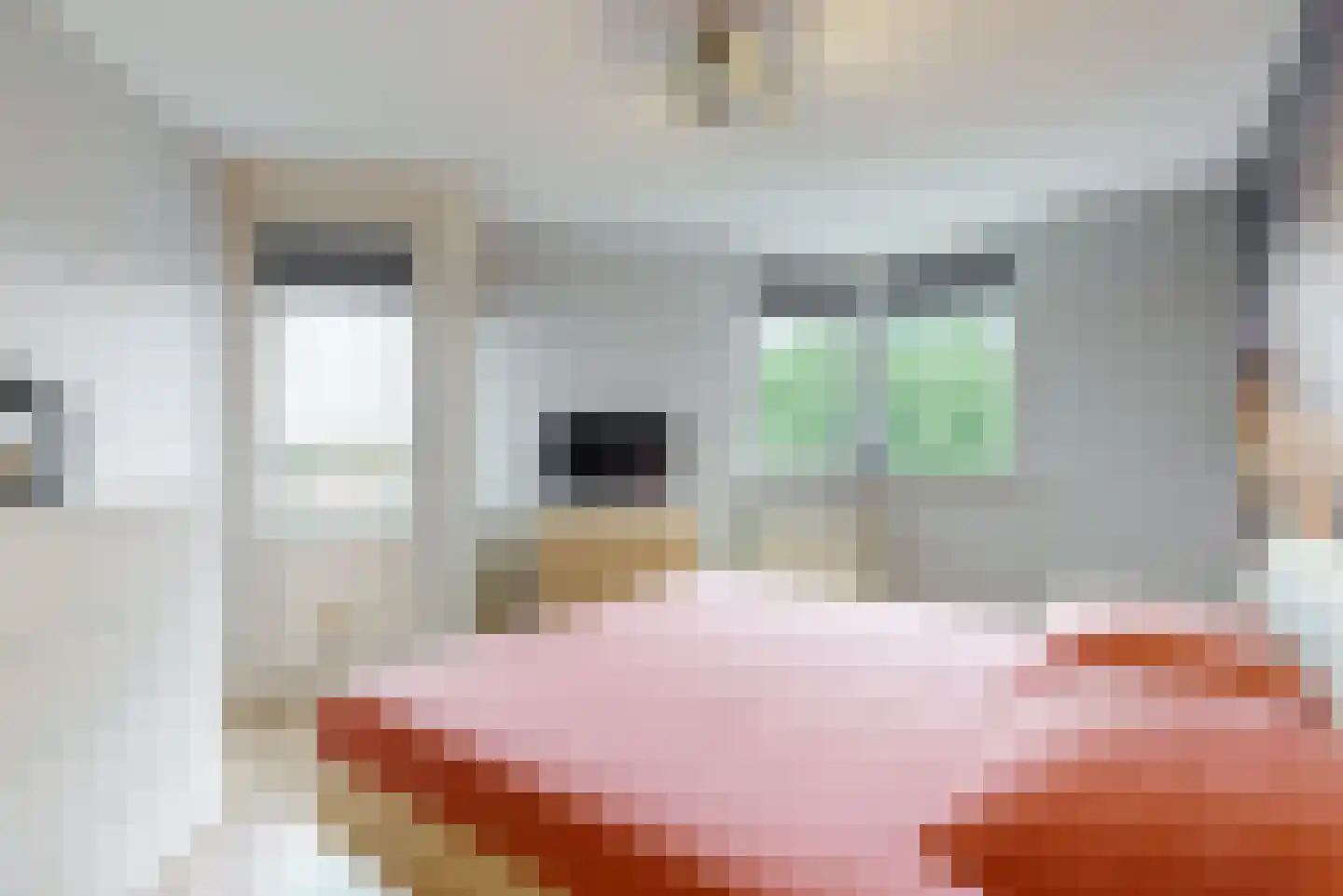 Vondelstaete 550 Alkmaar thumbnail 19