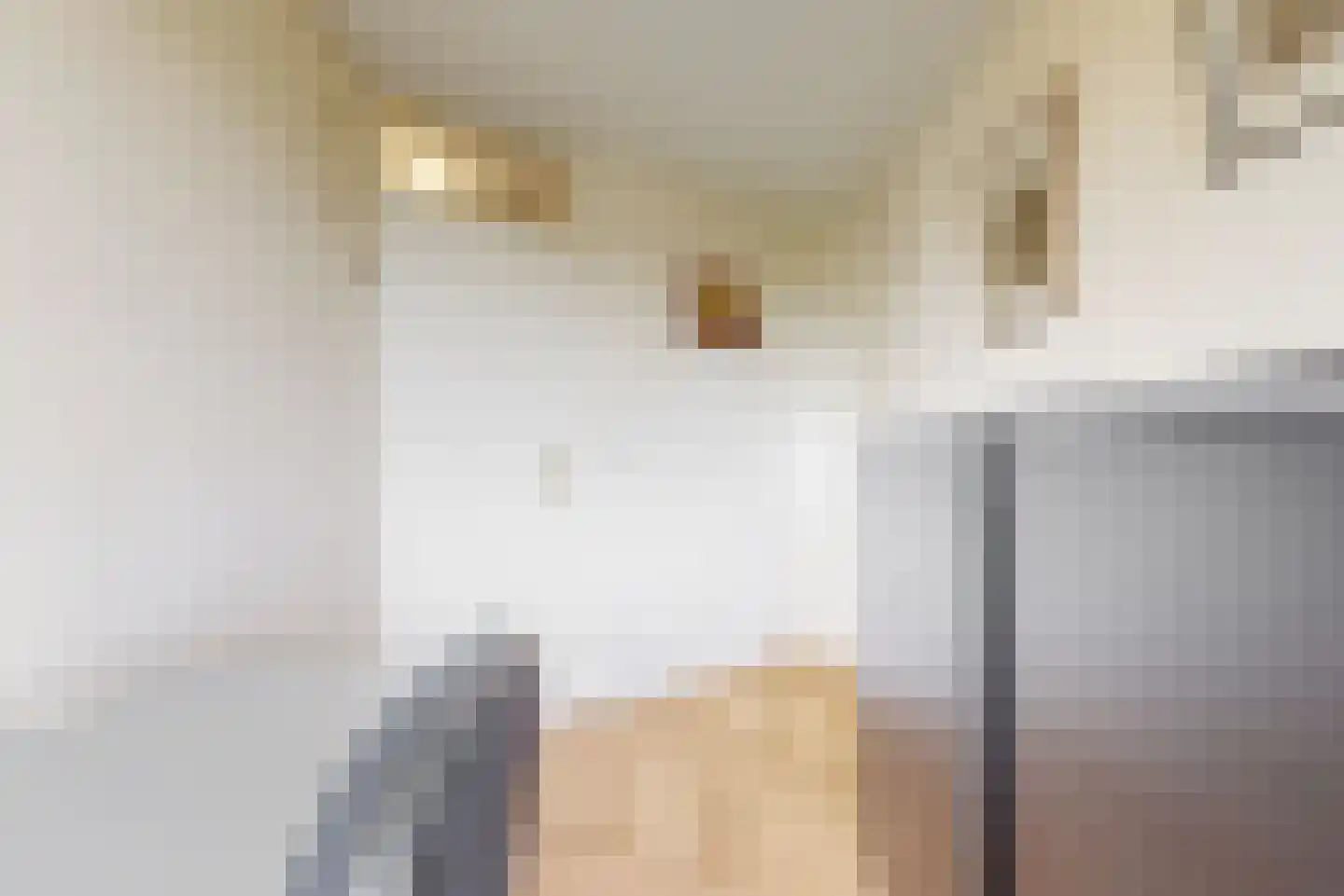 Vondelstaete 550 Alkmaar thumbnail 21