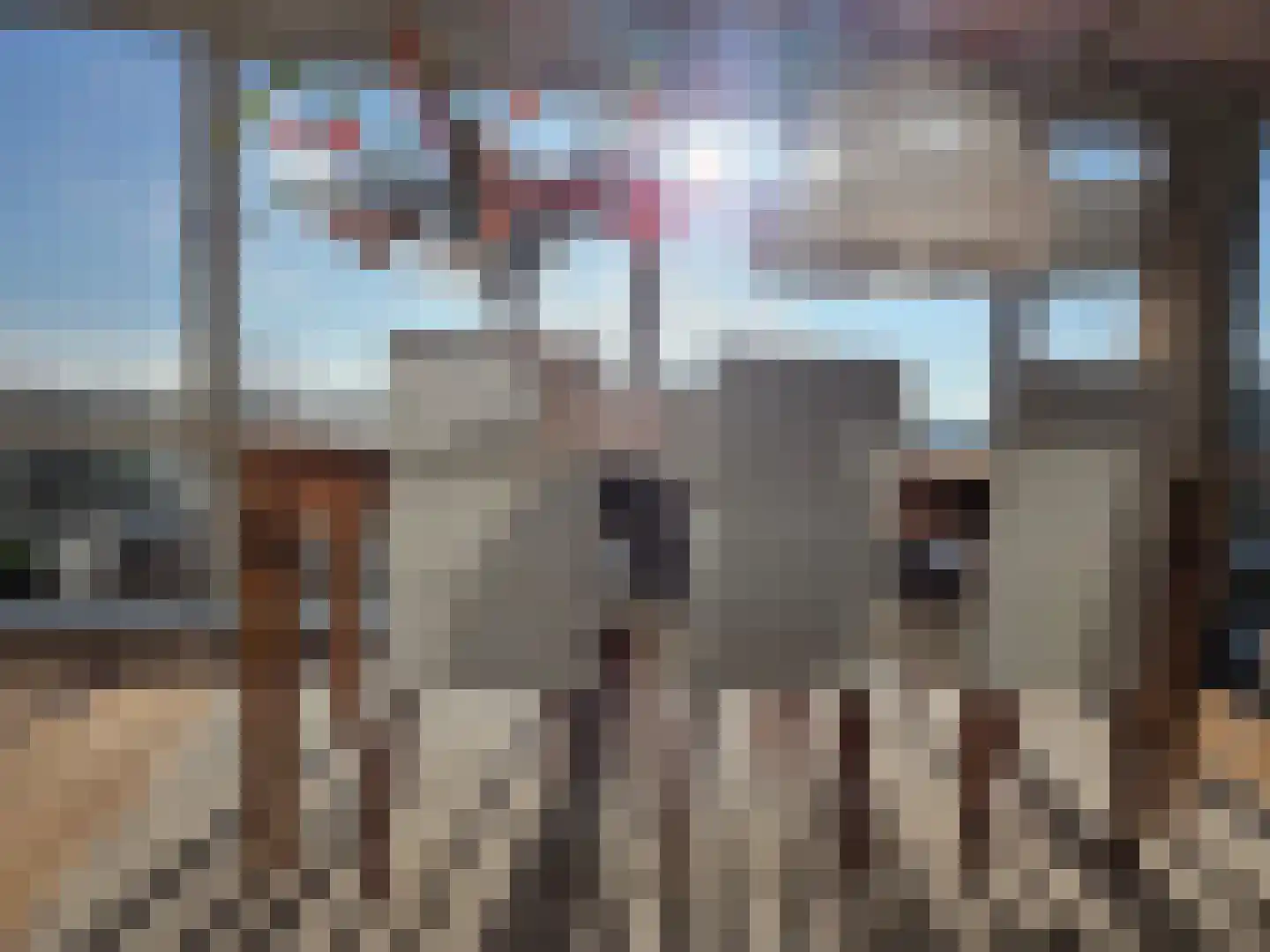 Vondelstaete 560 Alkmaar thumbnail 20