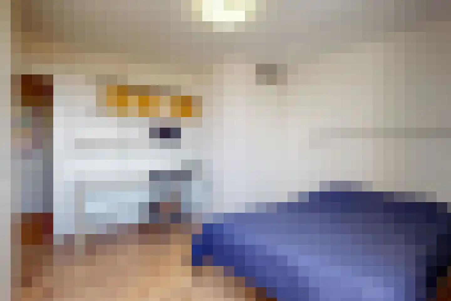 Vondelstaete 560 Alkmaar thumbnail 30