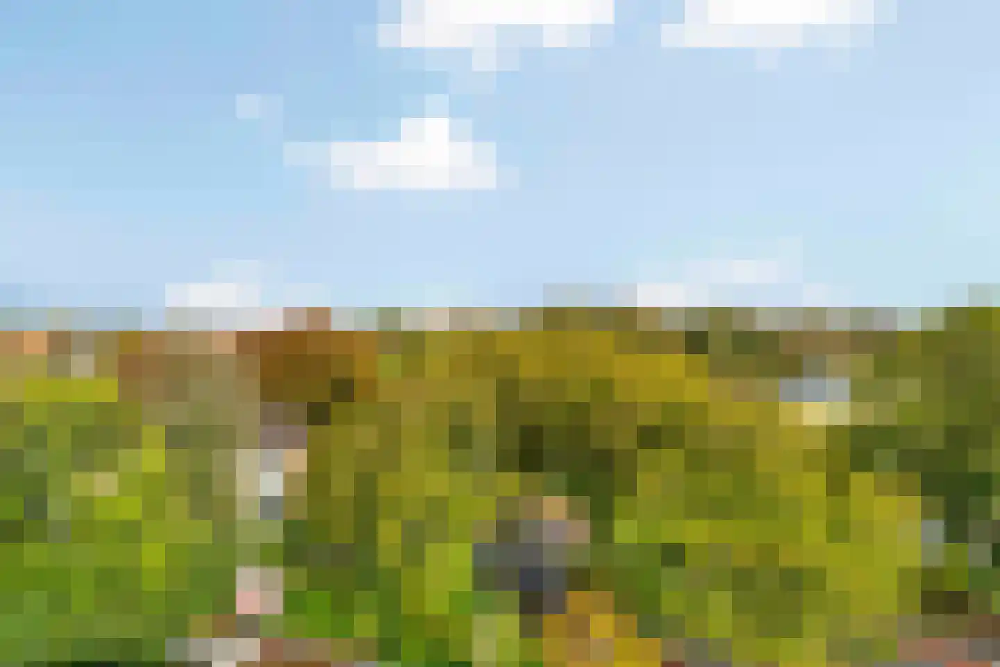 Vondelstaete 560 Alkmaar thumbnail 34