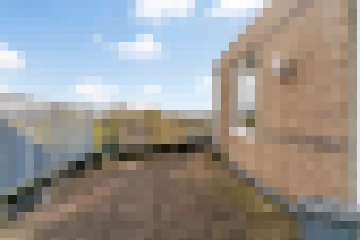 Vondelstaete 560 Alkmaar thumbnail 36