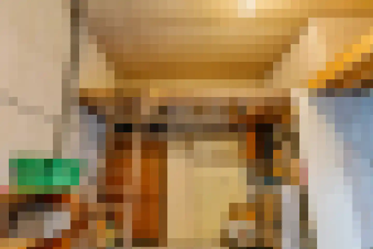 Vondelstaete 560 Alkmaar thumbnail 41