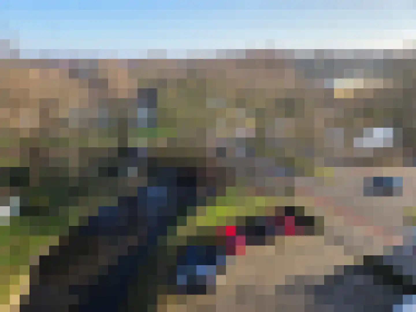 Vondelstaete 560 Alkmaar thumbnail 56