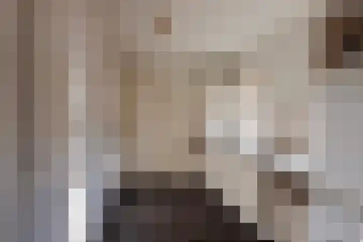 Vondelstraat 1 A Aalten thumbnail 22