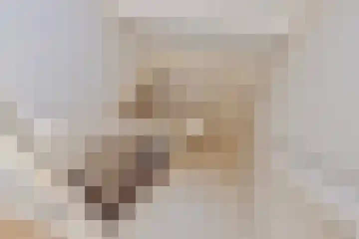 Vondelstraat 1 A Aalten thumbnail 27