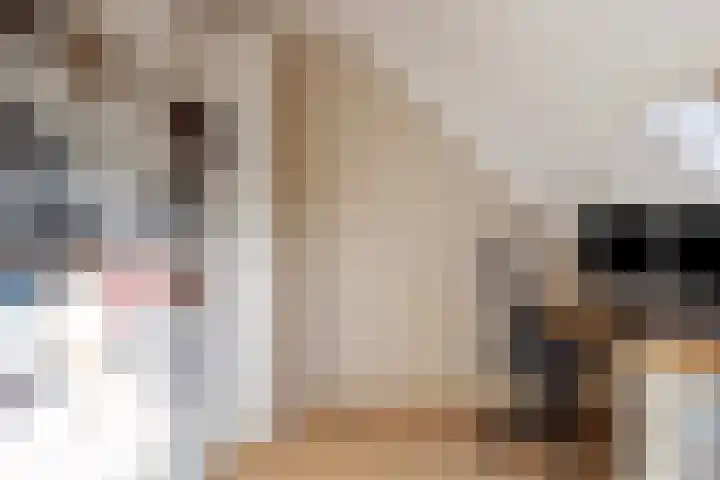 Vondelstraat 1 A Aalten thumbnail 40