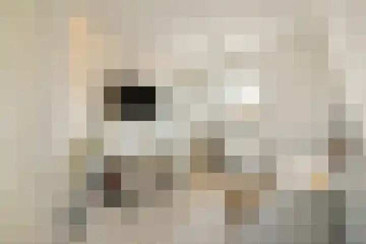 Vondelstraat 1 Gouda thumbnail 25