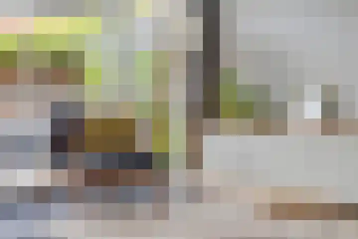 Vondelstraat 10 Beek thumbnail 11