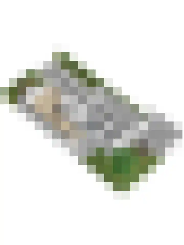 Vondelstraat 10 Beek thumbnail 12