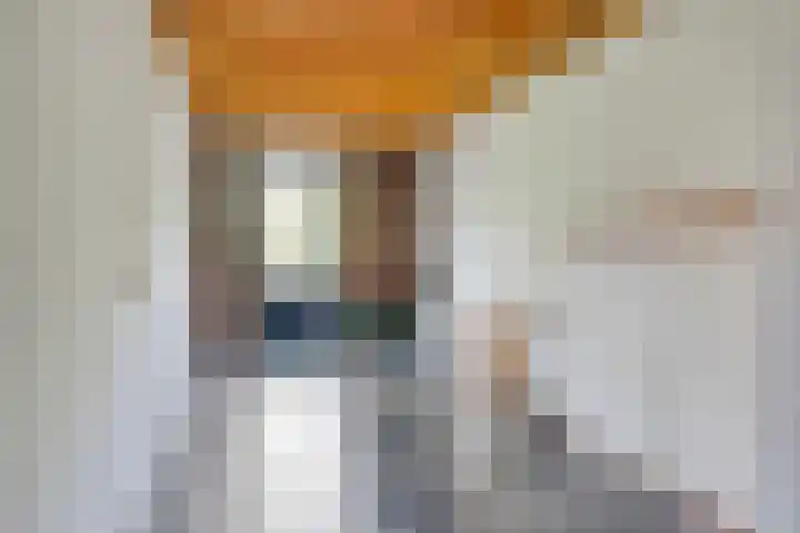 Vondelstraat 10 Beek thumbnail 21