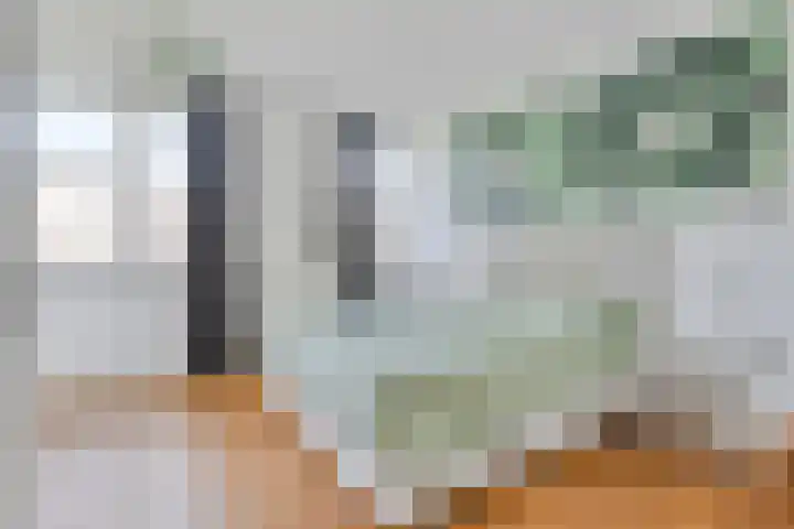 Vondelstraat 10 Beek thumbnail 25