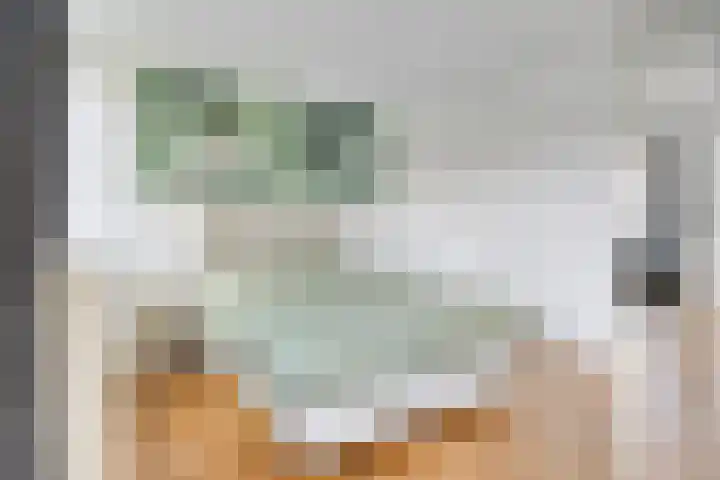Vondelstraat 10 Beek thumbnail 26