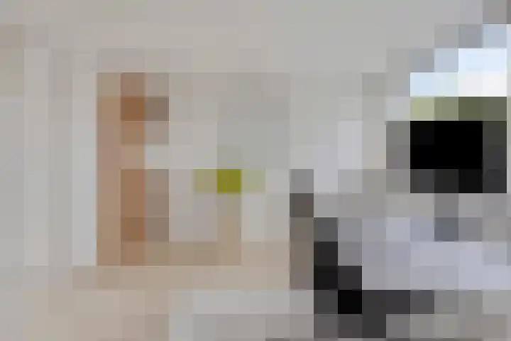 Vondelstraat 10 Beek thumbnail 36