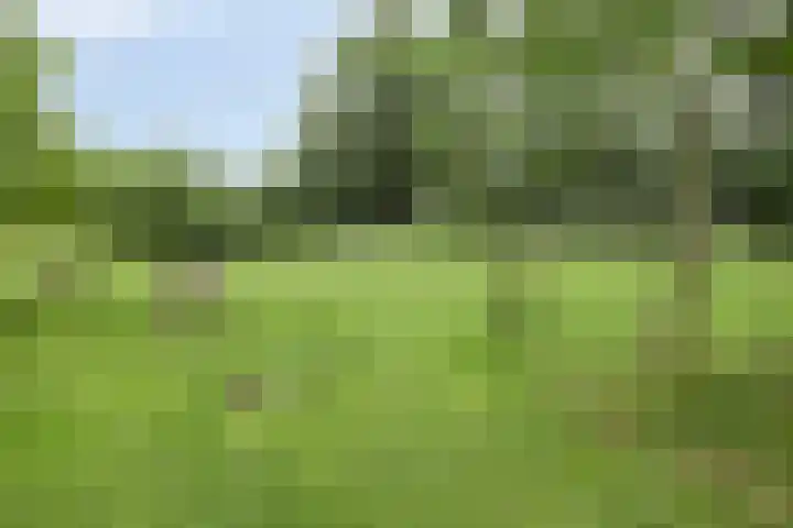 Vondelstraat 10 Beek thumbnail 40