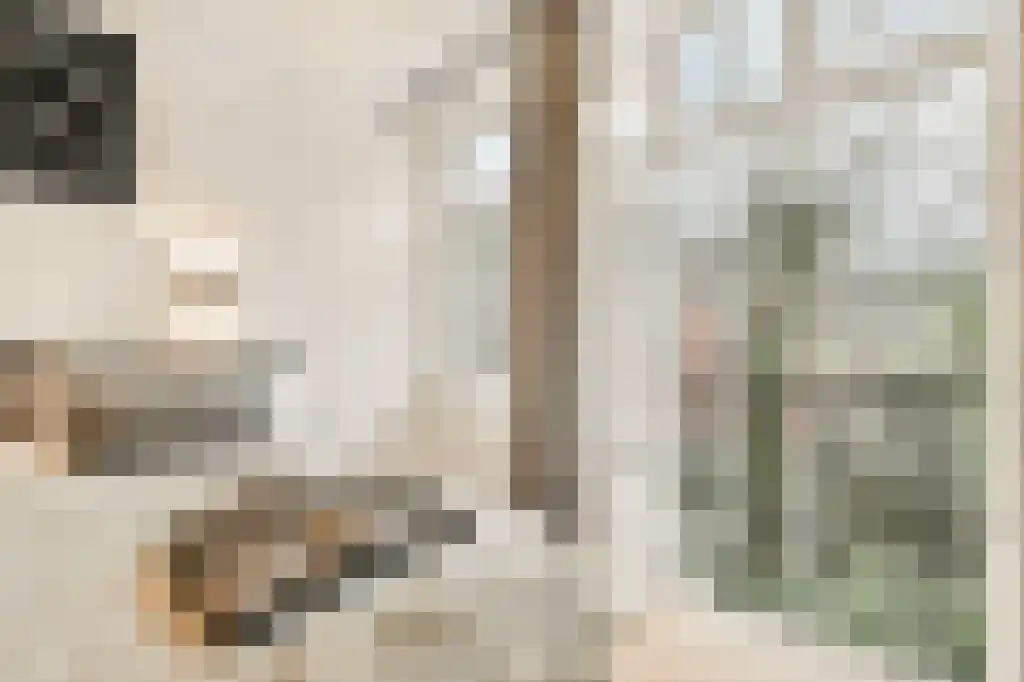 Vondelstraat 11 B 2 Amsterdam thumbnail 16
