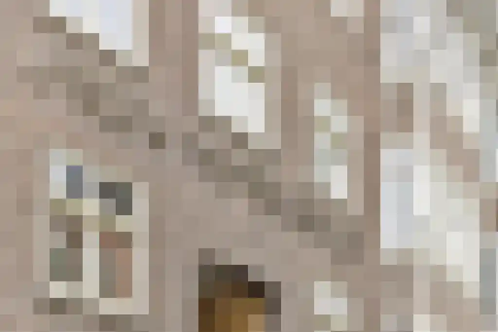 Vondelstraat 11 B 2 Amsterdam thumbnail 20