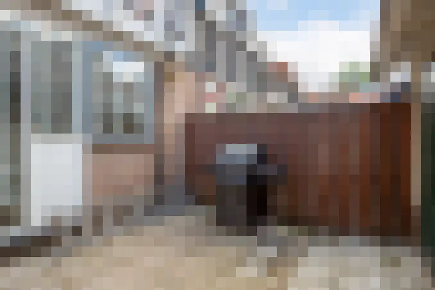Vondelstraat 11 Gouda thumbnail 50