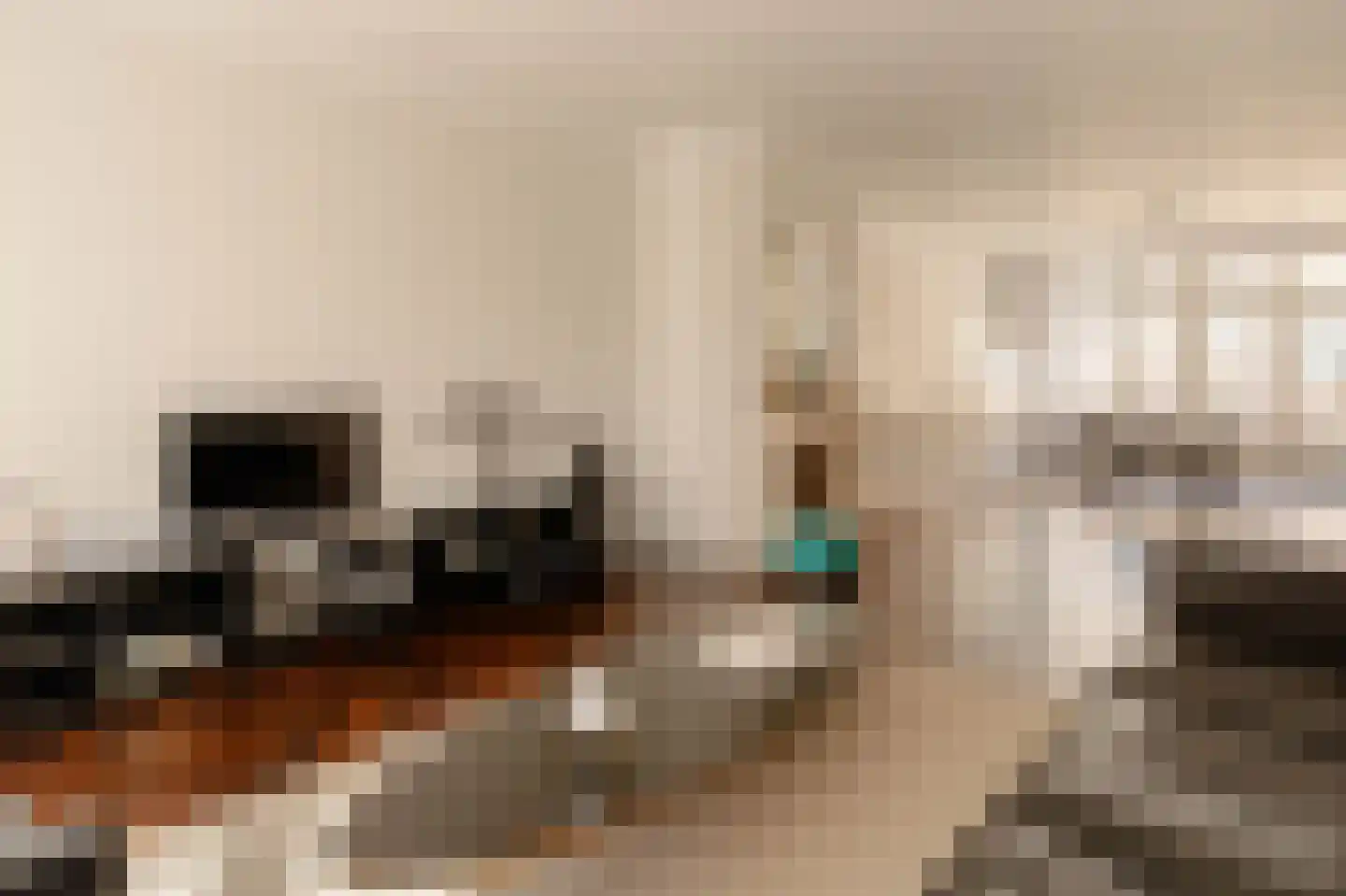 Vondelstraat 11 H 2 Amsterdam thumbnail 7