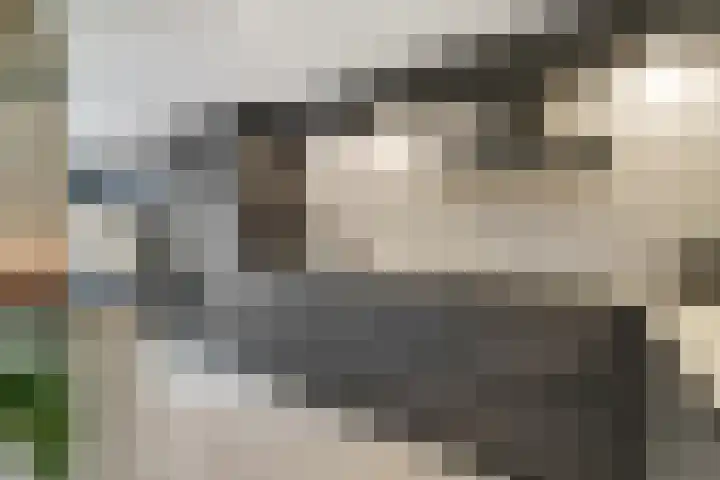 Vondelstraat 11 Nijverdal thumbnail 11