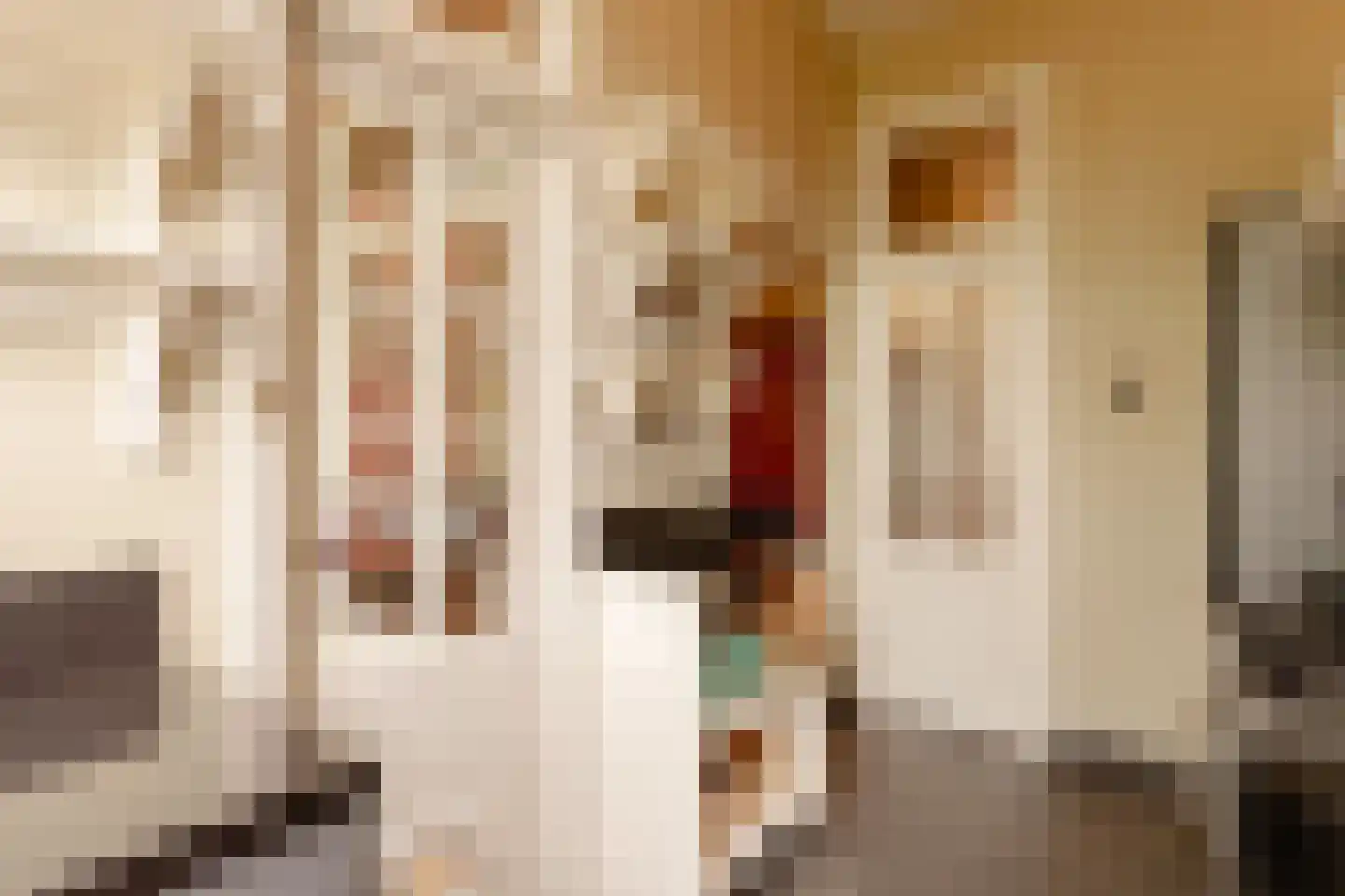 Vondelstraat 112 3 Amsterdam thumbnail 23