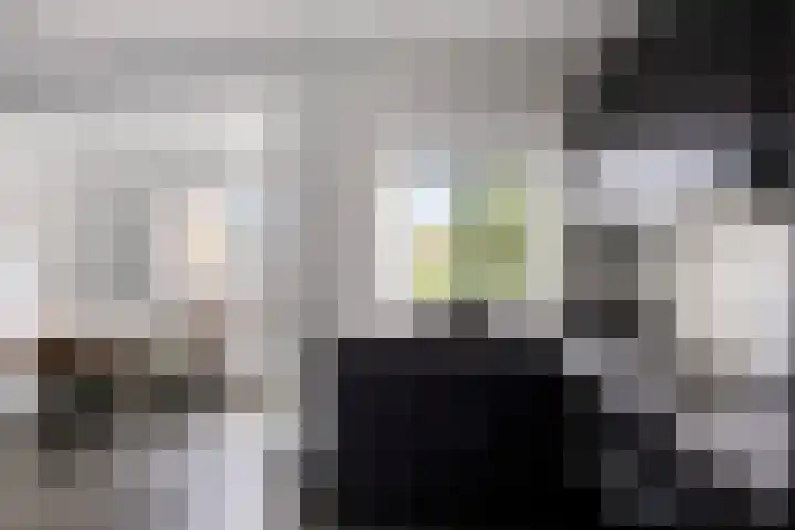 Vondelstraat 113 Brunssum thumbnail 13