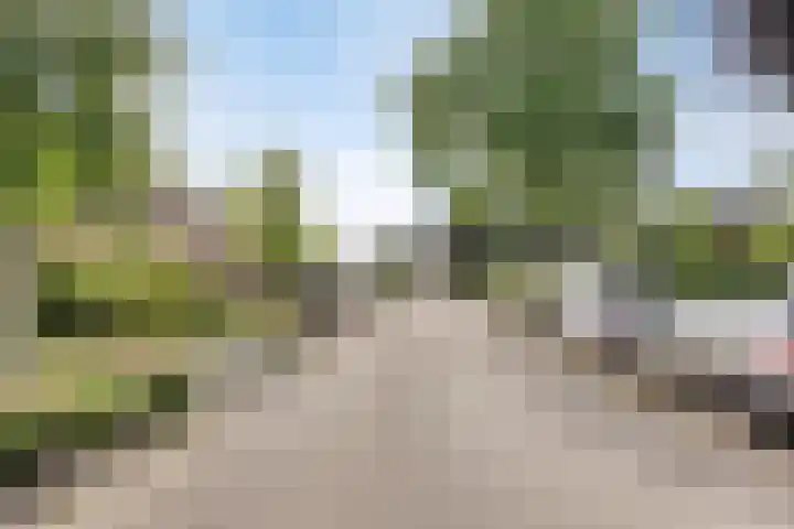 Vondelstraat 113 Brunssum thumbnail 33