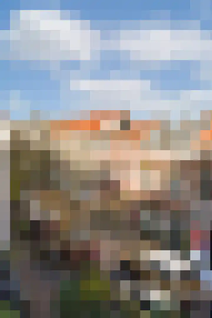 Vondelstraat 117 Den Haag thumbnail 13