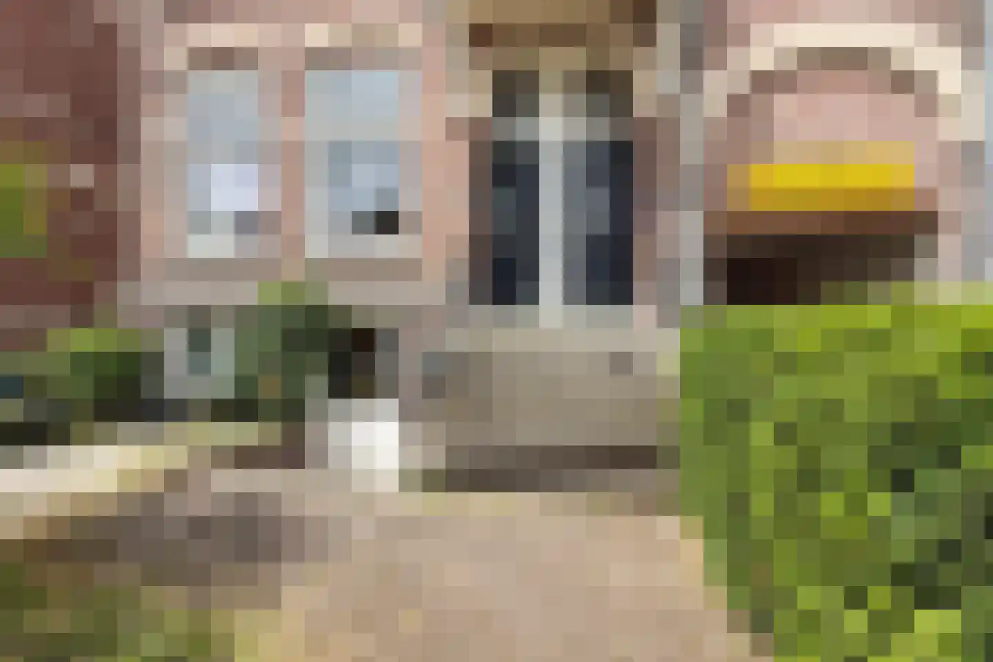 Vondelstraat 12 A Nijmegen thumbnail 4