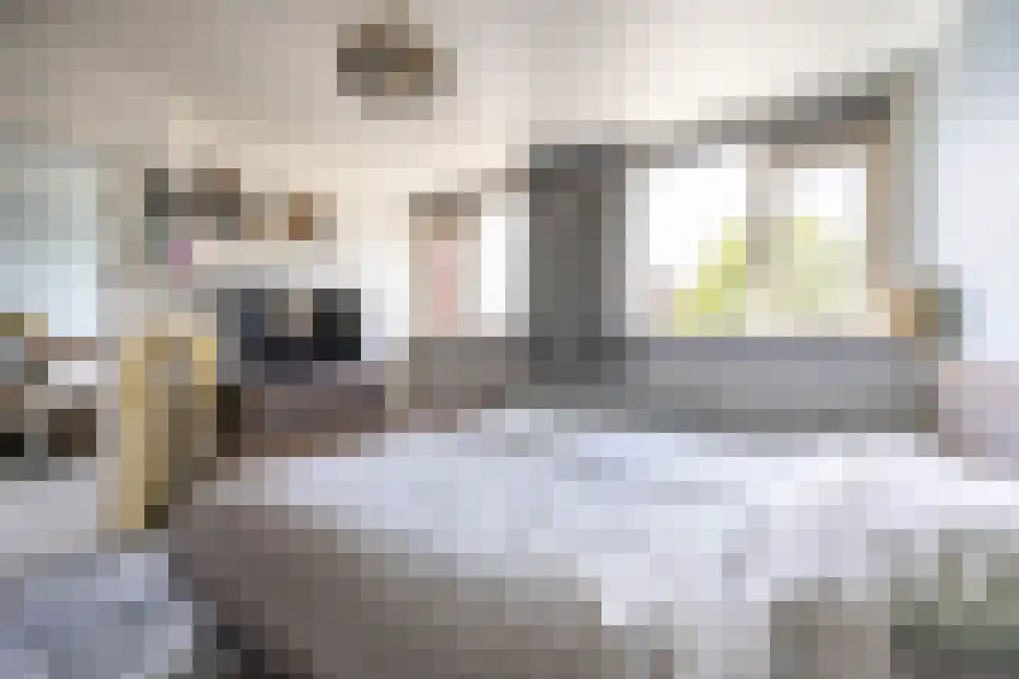 Vondelstraat 12 Hoogezand thumbnail 15