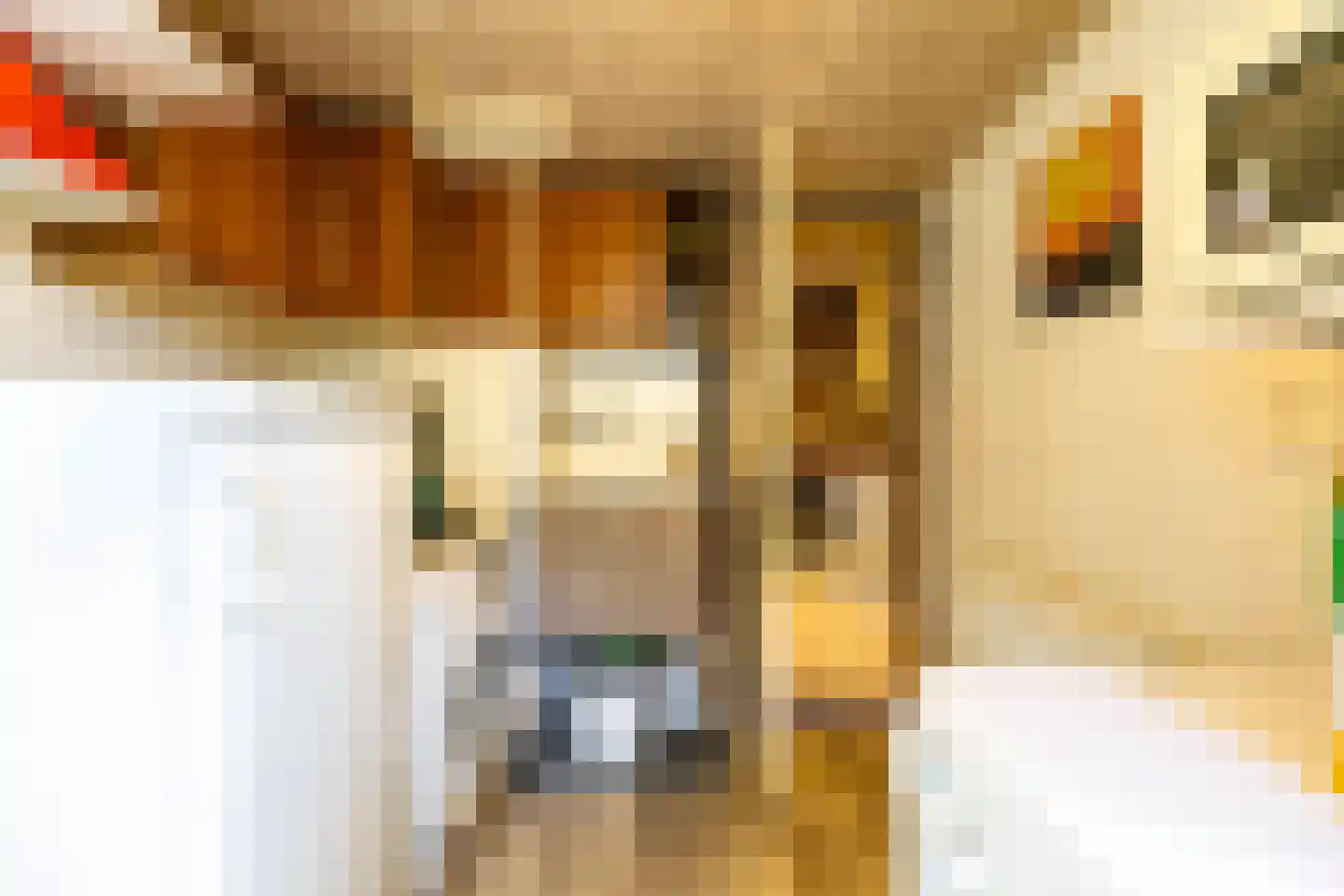Vondelstraat 12 Hoogezand thumbnail 20