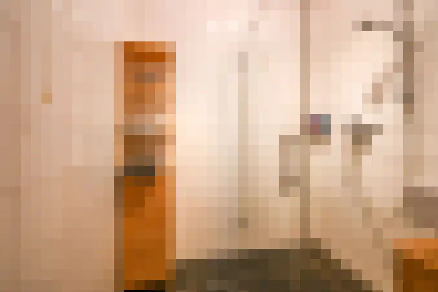 Vondelstraat 123 Den Haag thumbnail 19