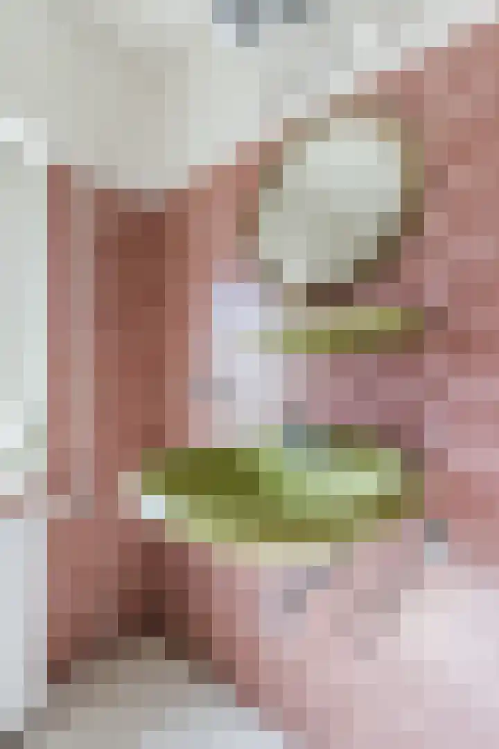 Vondelstraat 13 Nuenen thumbnail 25