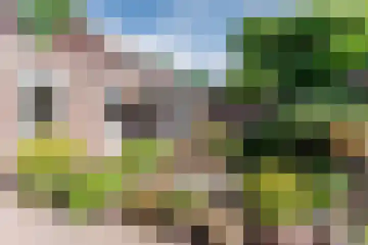 Vondelstraat 13 Nuenen thumbnail 35