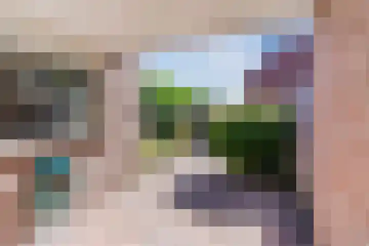 Vondelstraat 13 Nuenen thumbnail 37