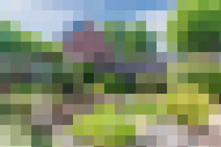 Vondelstraat 13 Nuenen thumbnail 38