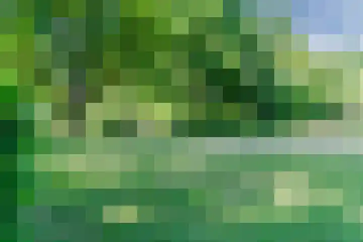 Vondelstraat 13 Nuenen thumbnail 41