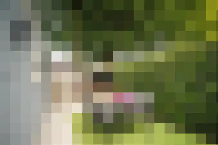 Vondelstraat 13 Putten thumbnail 19